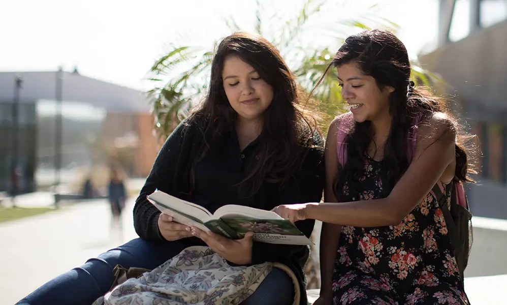 Students Studying Book