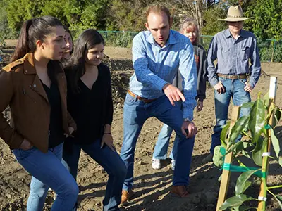 VC Students in Avocado Orchard