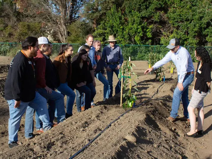 VC Students in Avocado Orchard